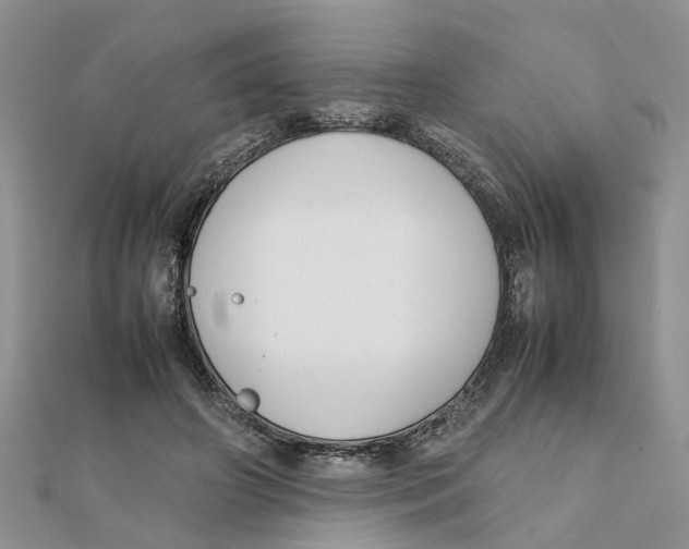 X0000111500498200908111249