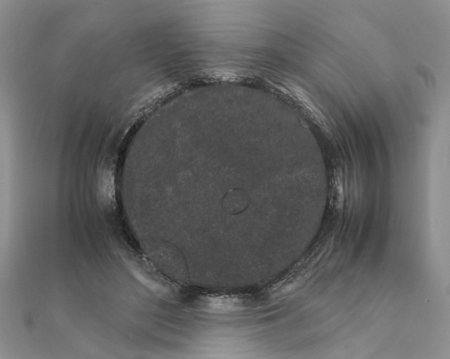 X0000111500500200908111249