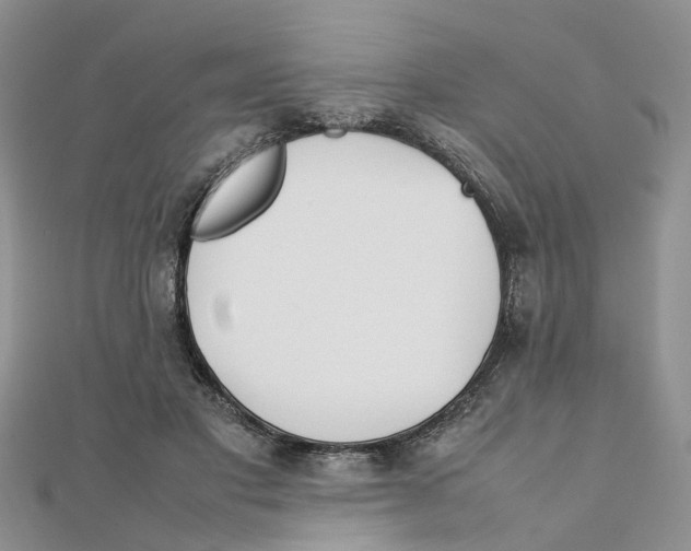 X0000111500501200908111249