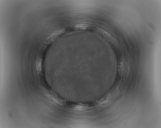 X0000111500504200908111249