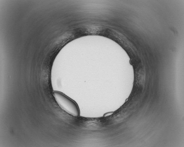 X0000111500505200908111249