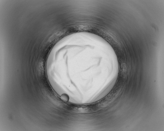 X0000111500506200908111249