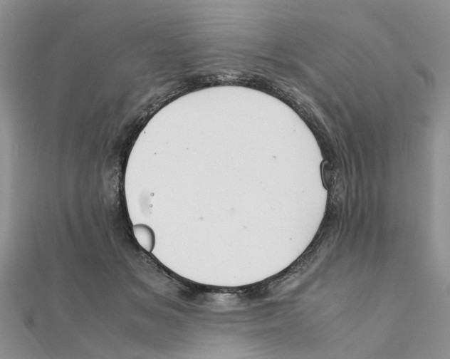 X0000111500509200908111249