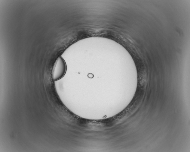 X0000111500515200908111249