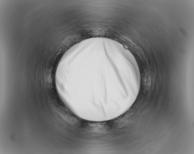 X0000111500516200908111249