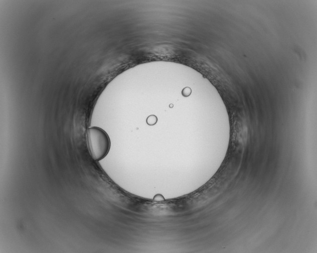 X0000111500518200908111249