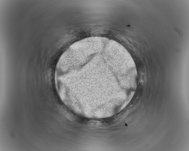 X0000111500519200908111249