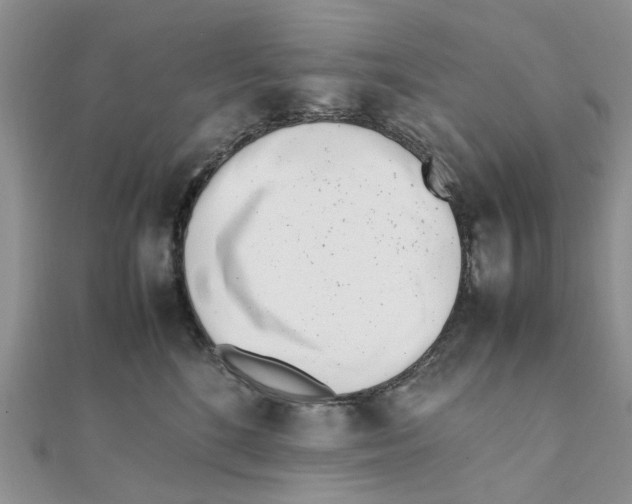 X0000111500520200908111249