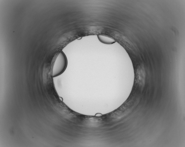 X0000111500522200908111249