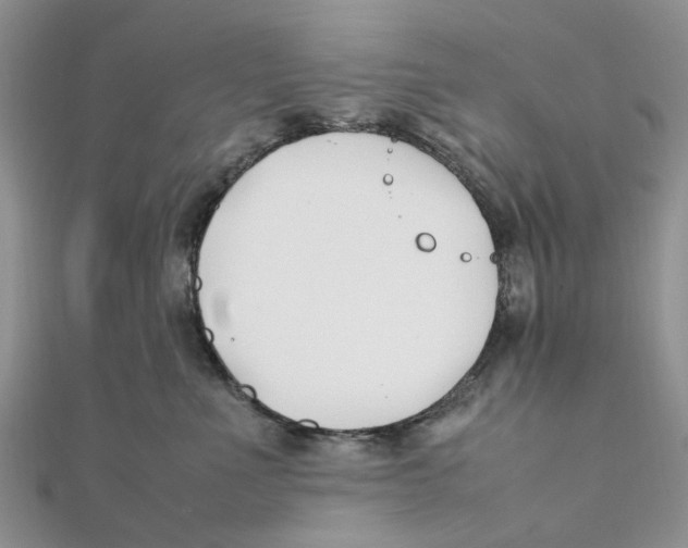 X0000111500523200908111249