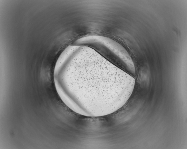 X0000111500524200908111249