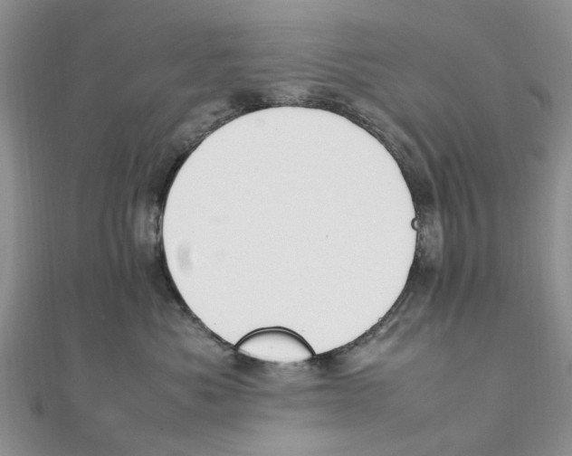 X0000111500525200908111249