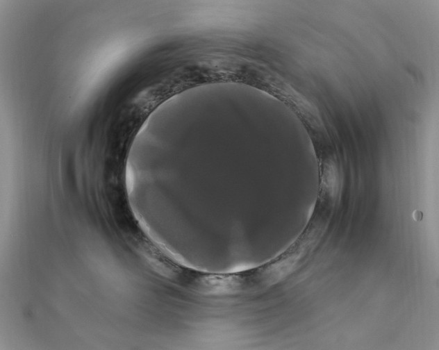 X0000111500526200908111249