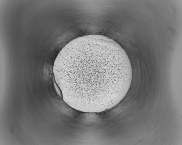 X0000111500528200908111249