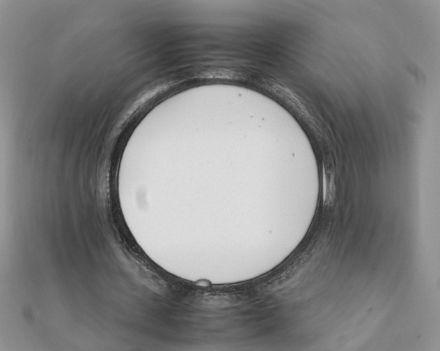 X0000111500531200908111248