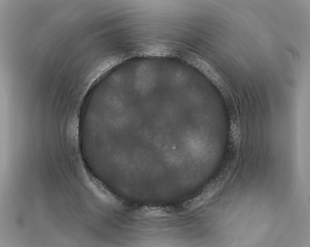 X0000111500534200908111248