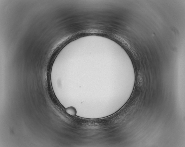 X0000111500535200908111249