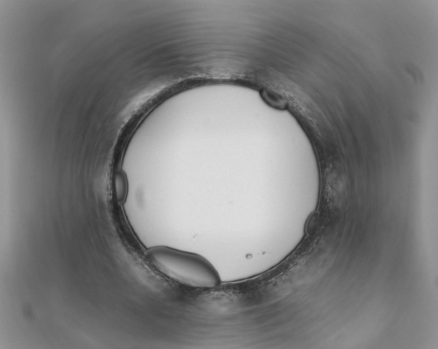 X0000111500536200908111249