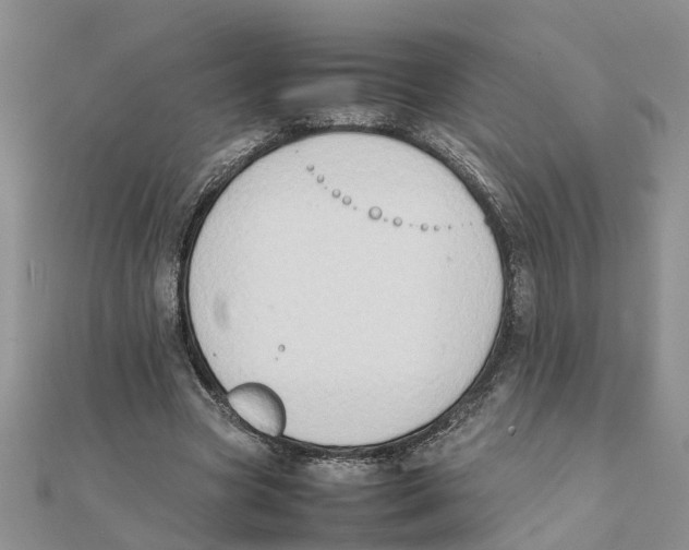 X0000111500537200908111249