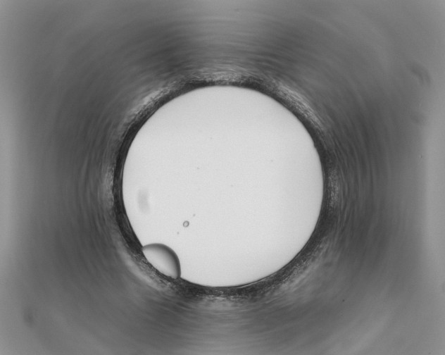 X0000111500538200908111249