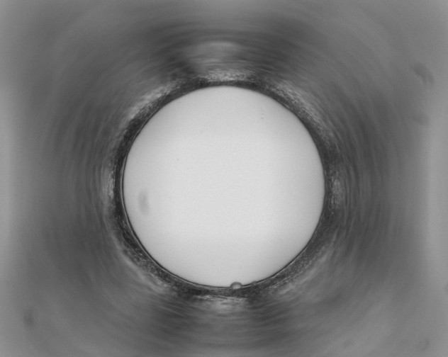 X0000111500539200908111249