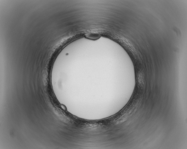 X0000111500540200908111249