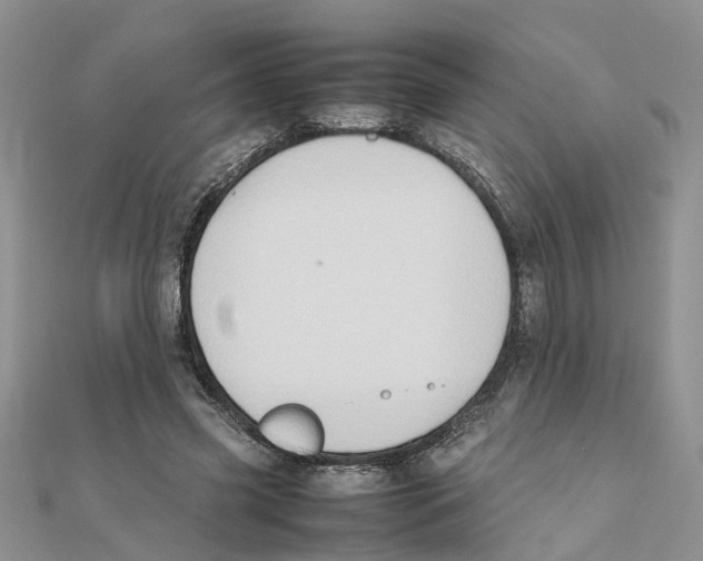 X0000111500541200908111249