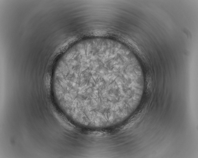 X0000111500542200908111249