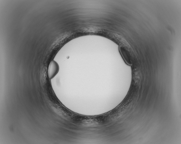 X0000111500544200908111249