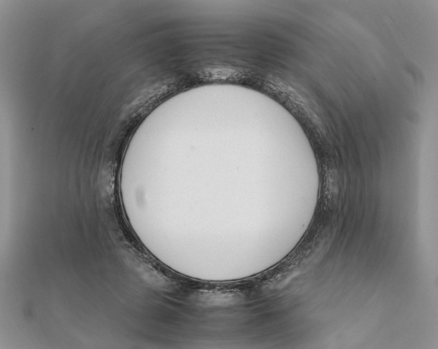 X0000111500545200908111249