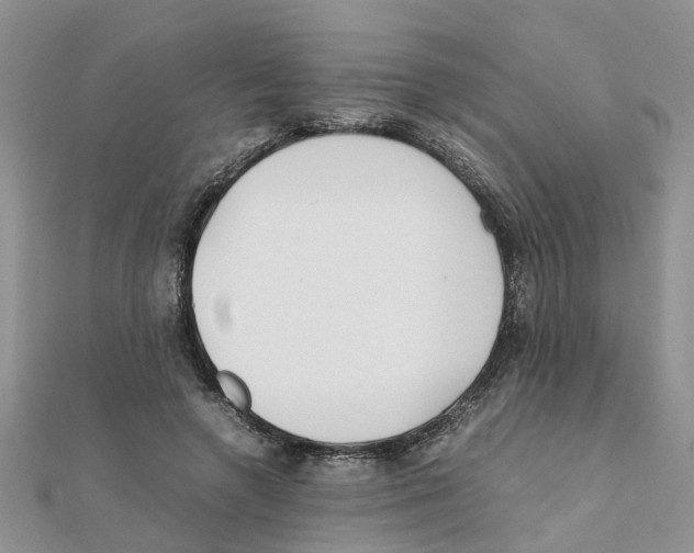 X0000111500546200908111249