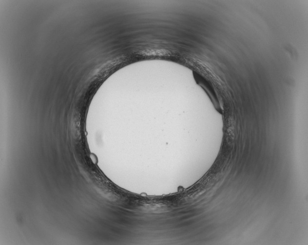 X0000111500547200908111249