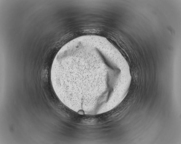 X0000111500551200908111249