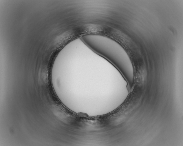 X0000111500552200908111249