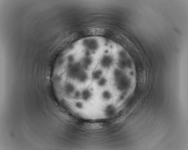 X0000111500553200908111249