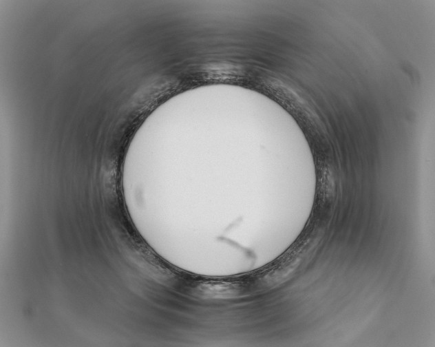 X0000111500557200908111249