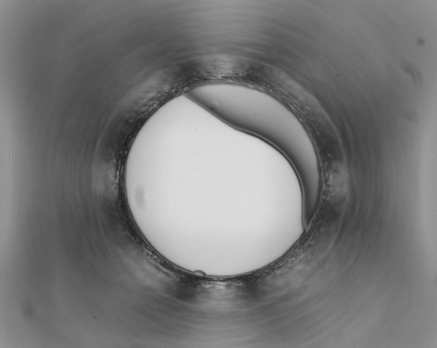 X0000111500558200908111249