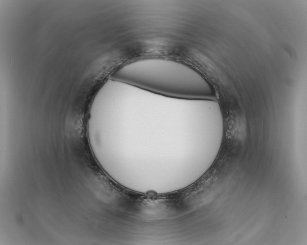 X0000111500560200908111249