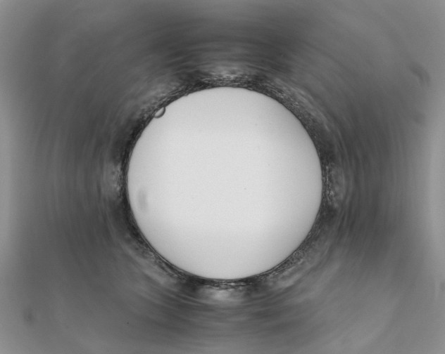 X0000111500563200908111249