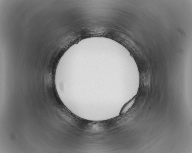 X0000111500564200908111249