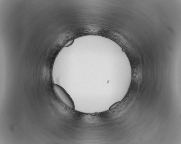 X0000111500568200908111249