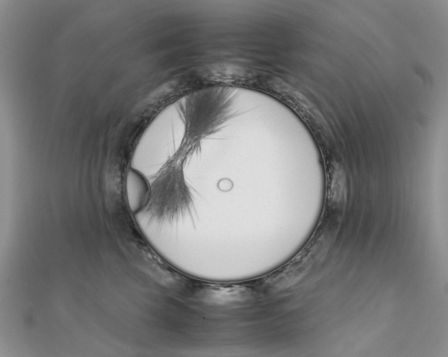 X0000111500569200908111249