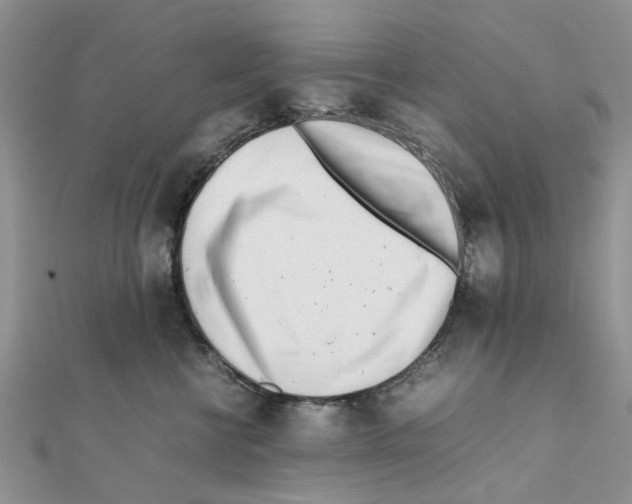 X0000111500570200908111249