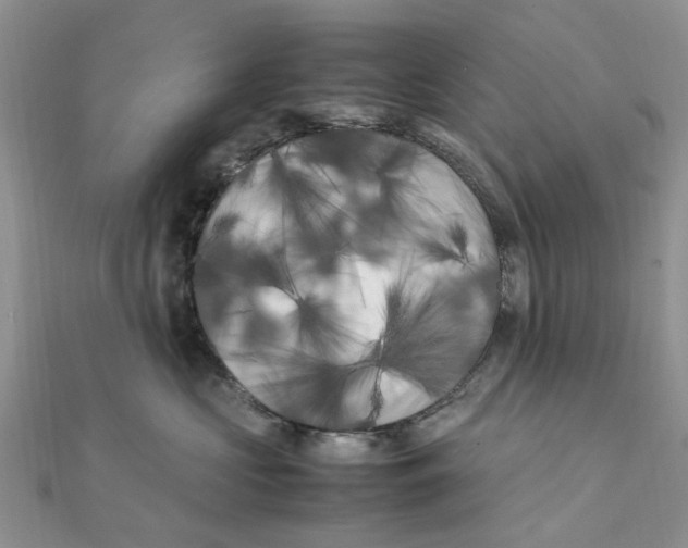 X0000111500573200908111249