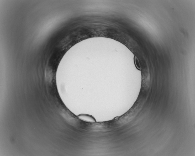 X0000111500574200908111249