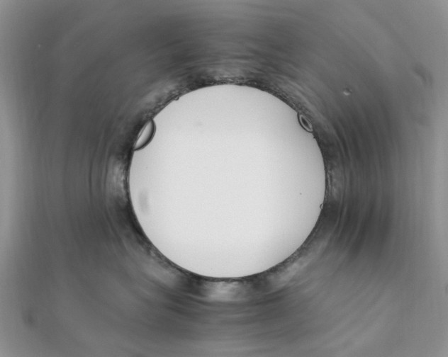 X0000111500575200908111249