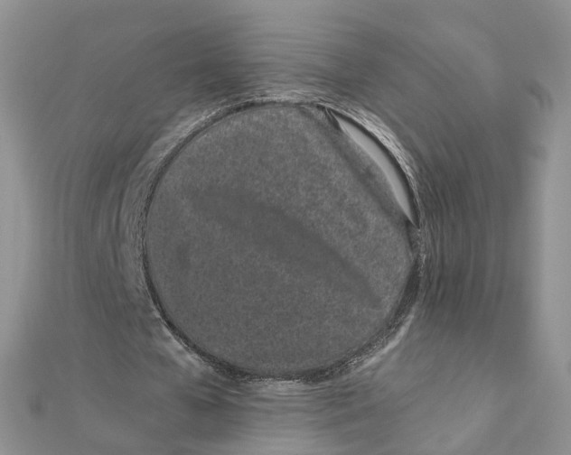 X0000111500577200908111248