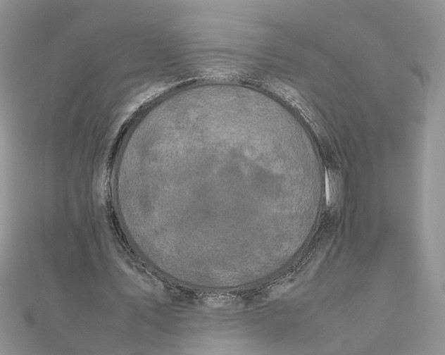 X0000111500579200908111248