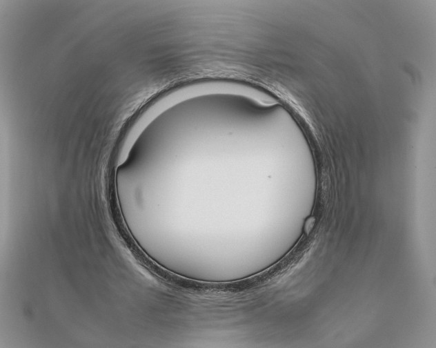 X0000111500581200908111248