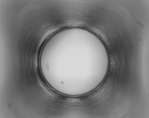 X0000111500582200908111248